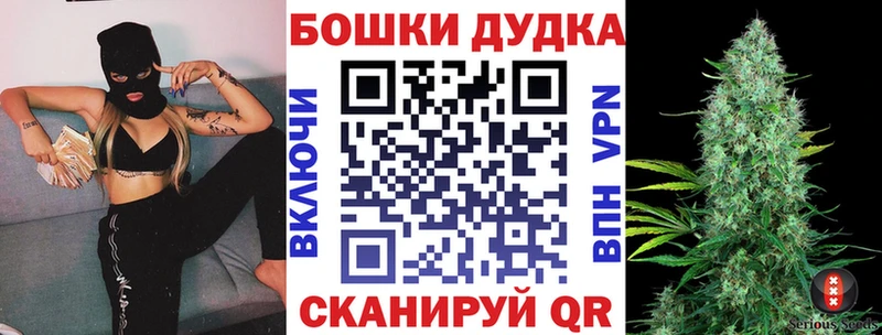 omg ССЫЛКА  Валдай  Марихуана сатива 